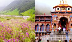 badrinath with valley of flowers package